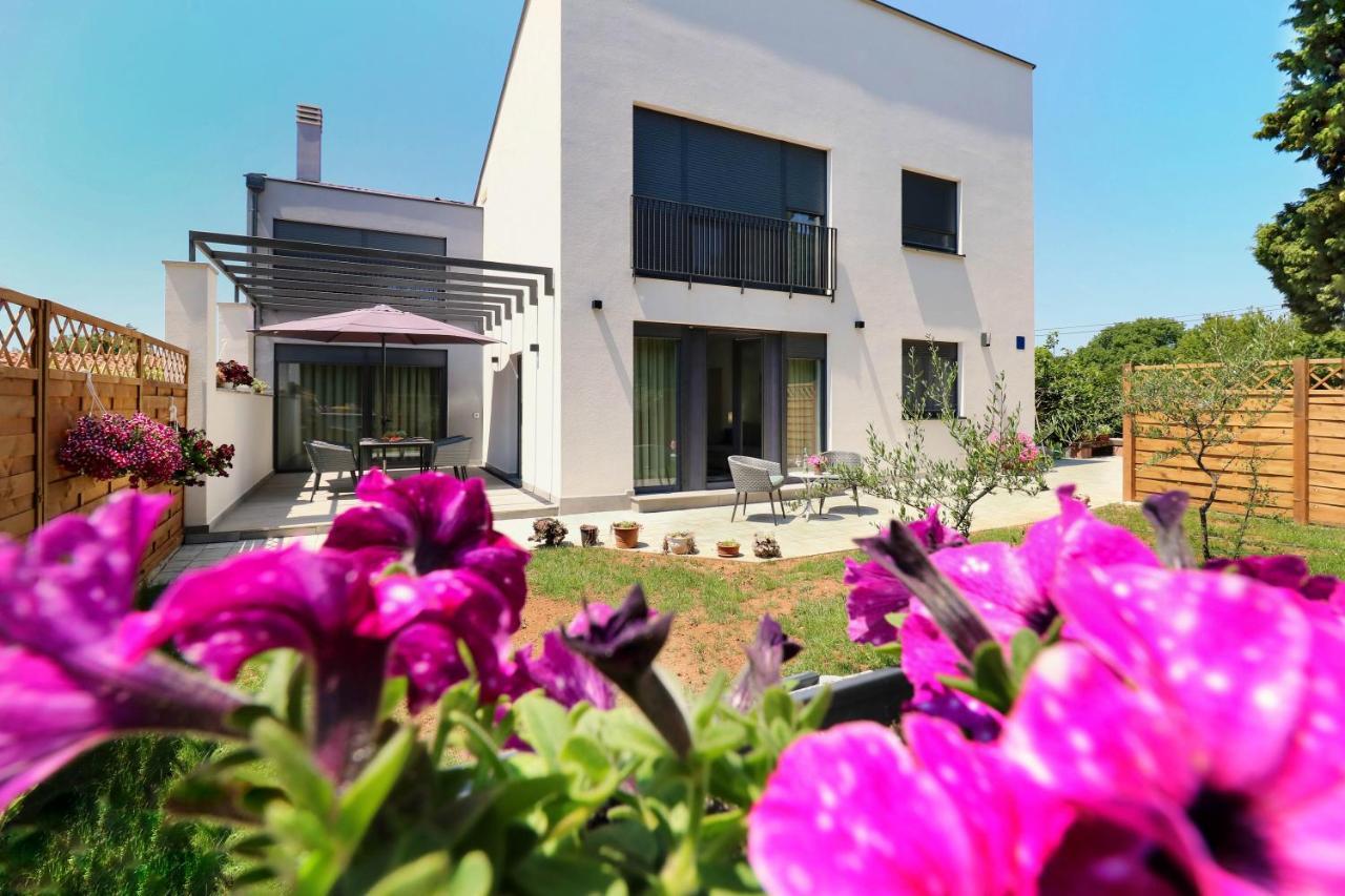 Papillon I Dolce Vita Tar-Vabriga المظهر الخارجي الصورة